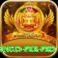 Bingo PKR Earn Premium v4.6.2