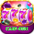 carp fish - Casino Pro