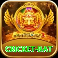 cricket bat Money Max v2.5.1