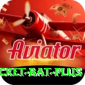 cricket bat Elite APK v4.0.1