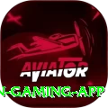 Cricket Betting Pakistan Champion Gaming App