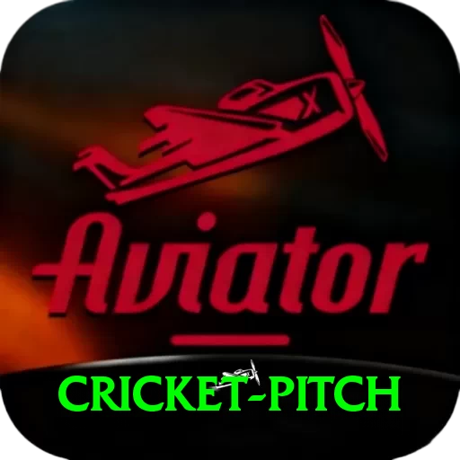 cricket pitch Deluxe - Free Download - 2