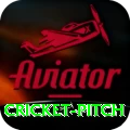 cricket pitch Deluxe - Free Download