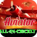 fastest ball in cricket APK Royal v2.3.4