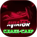grass carp Games Deluxe