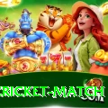 india cricket match Max Latest v2.3.1