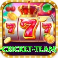 netherlands cricket team - Deluxe Edition v3.8.0