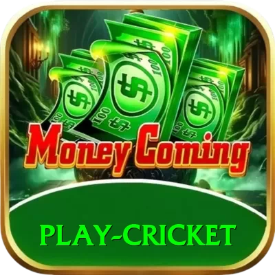 play cricket APK Ultimate v2.6.3 - 2