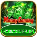 smart cricket live APK Deluxe v5.1.3
