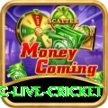 smartcric live cricket Earn Supreme v5.2.0