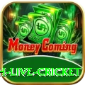 watch live cricket - VIP Premium