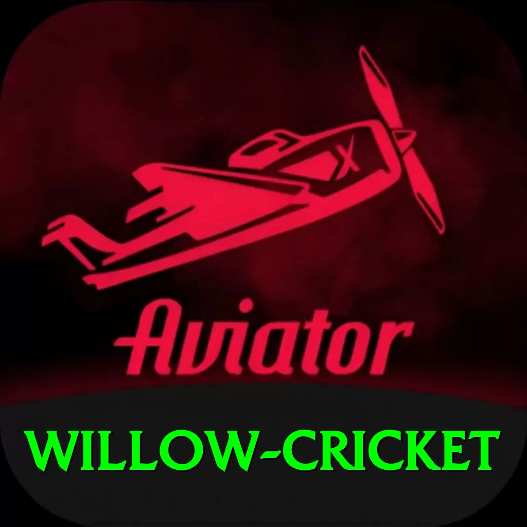willow cricket PK Pro - 2